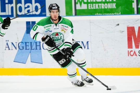 Rögles Alen Bibic