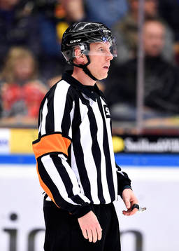 Domare Mikael Holm