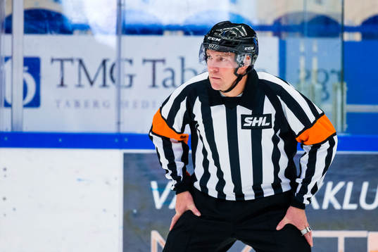 Domare Morgan Johansson