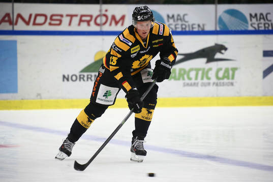 Skellefteås Mikko Lehtonen