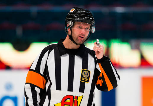 Domare David Bergman