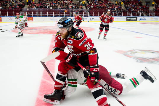 Malmö Redhawks David Liffiton