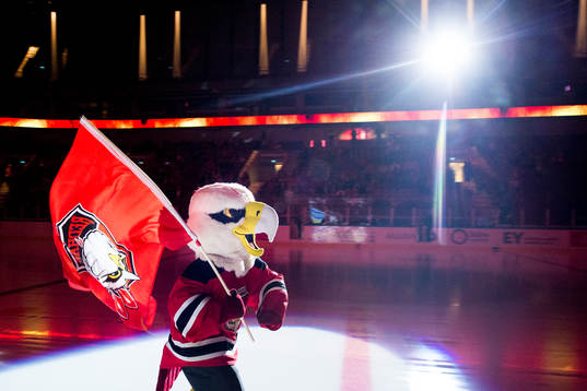 Malmö Redhawks maskoten Hawkan