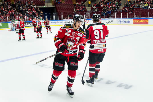 Malmö Redhawks Henrik Hetta deppar