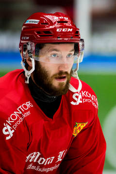 Moras Brett Palin