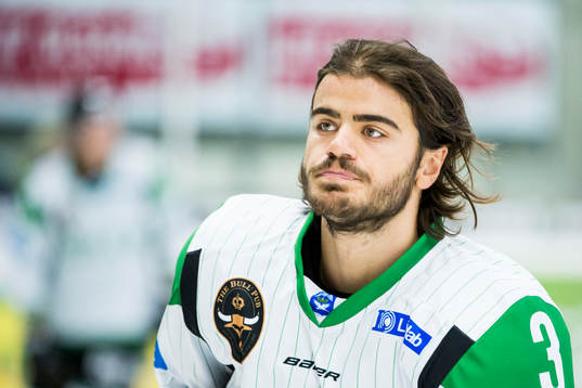 Rögles Almen Bibic