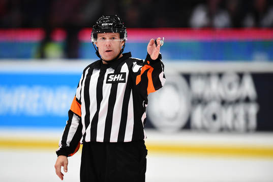 Domare Wolmer Edqvist