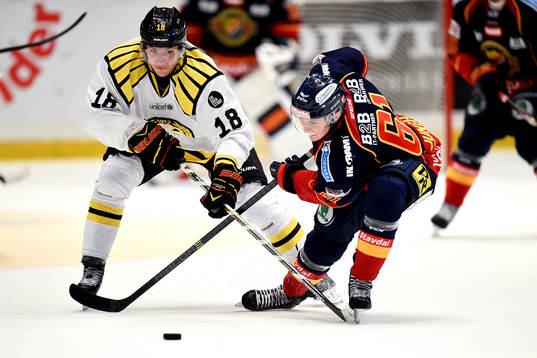 Brynäs Anton Rödin och Djurgårdens Markus Ljungh