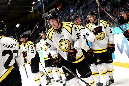 under ishockeymatchen i SHL mellan Djurgården och Brynäs