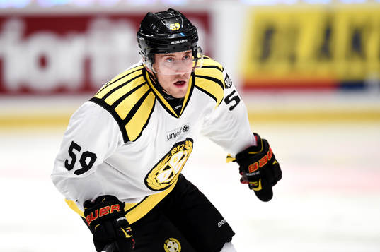 Brynäs Sebastian Enterfeldt