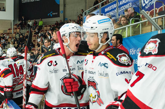 Några spelare i Malmö Redhawks  jublar