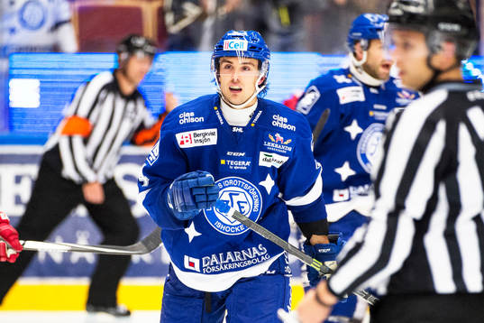 Leksands Robin Gartner