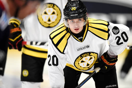Brynäs Adam Brodecki