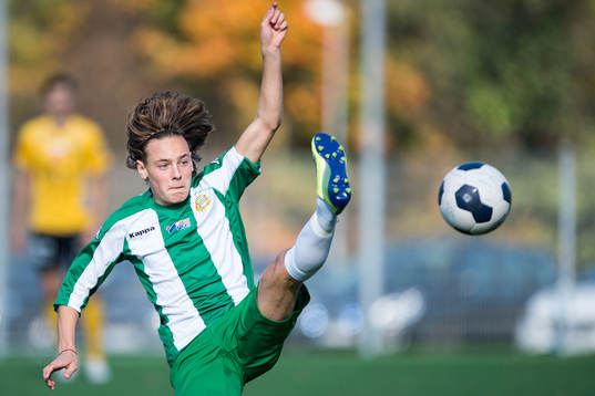 Hammarbys Cesar Weilid
