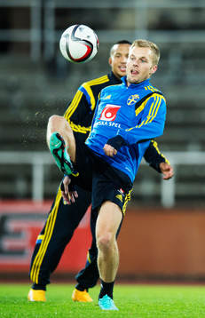 Sebastian Larsson