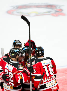 Malmö Redhawks spelare jublar
