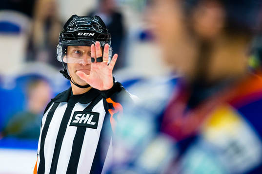 Domare Sören Persson