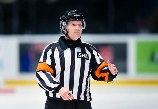 Domare Thomas Andersson