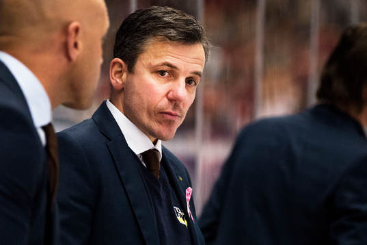 HV71s assisterande tränare Fredrik Stillman