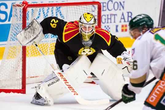 Brynäs målvakt Bernhard Starkbaum