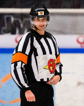 Domare Mikael Andersson