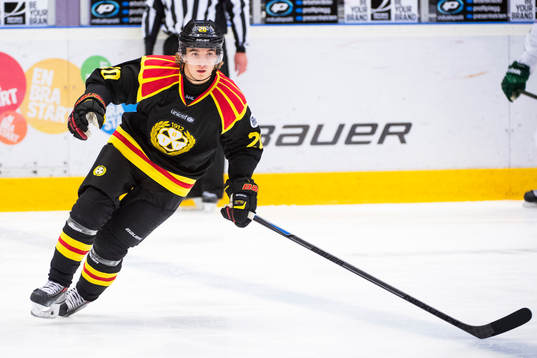 Brynäs Adam Brodecki