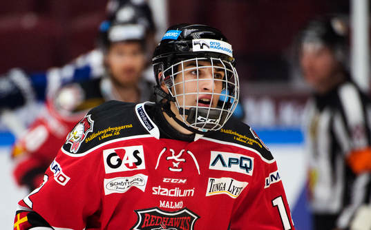 Malmö Redhawks Damien Riat