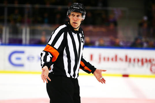 Domaren Morgan Johansson