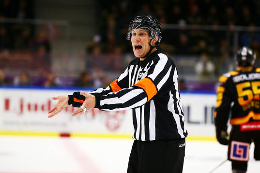 Domaren Morgan Johansson