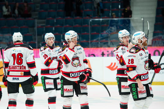 Malmö Redhawks spelare deppar förlusten med 3-2