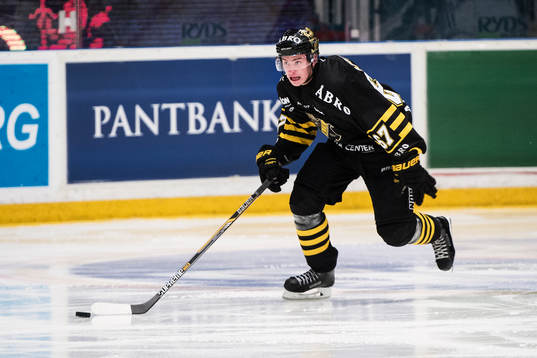 s Martin Ahnelöv