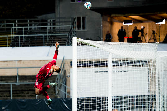 Frankrikes målvakt Alphonse Areola gör en räddning