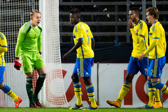 Sveriges målvakt Patrik Carlgren skriker ut sin ilska mot