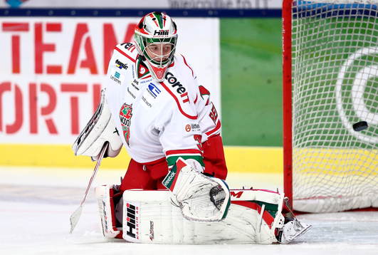 s målvakt Linus Ullmark
