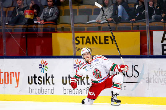 Modos William Nylander jublar