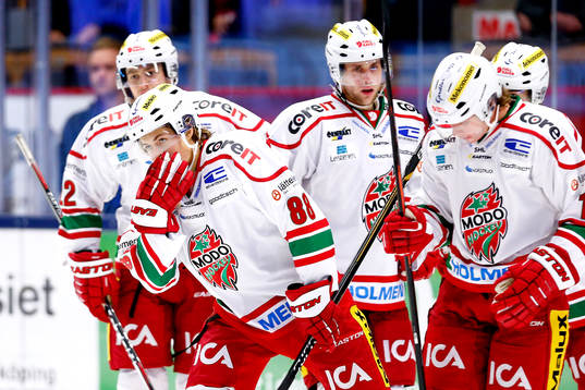 Modos William Nylander firas
