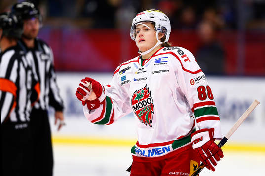 Modos William Nylander jublar
