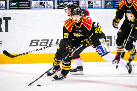 Brynäs Adam Brodecki