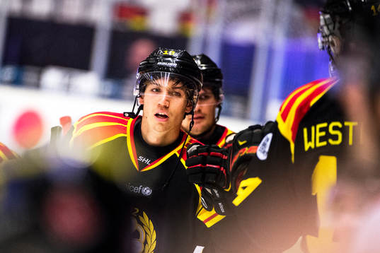 Brynäs Anton Rödin jublar