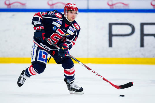 Södertäljes Michal Gulaši