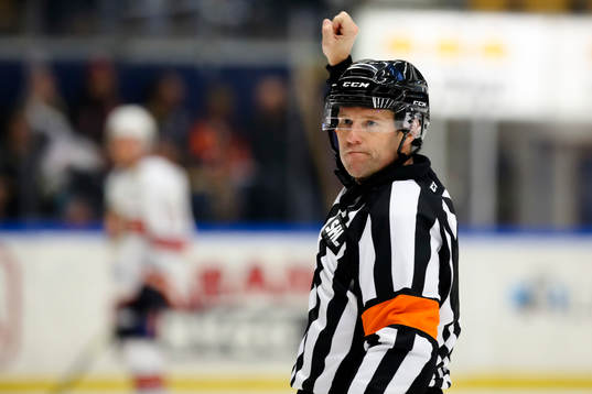 Domaren Wolmer Edqvist