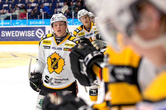 Skellefteås Kirill Kabanov jublar