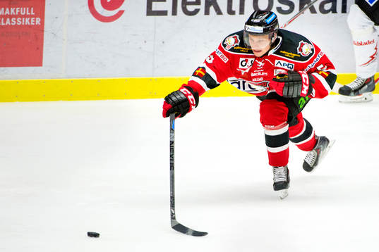 Malmö Redhawks Sebastian Strandberg