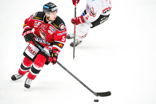 Malmö Redhawks Sebastian Strandberg
