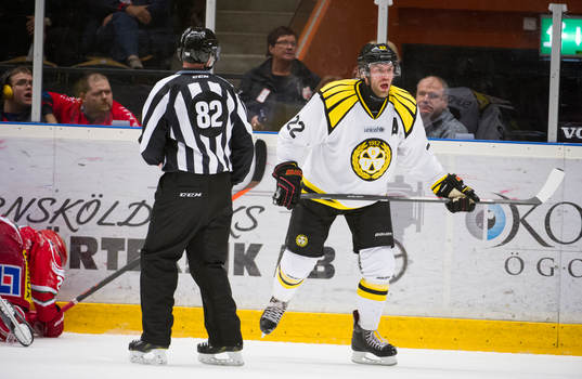 Brynäs Jörgen Sundqvist blir arg på domaren