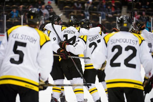 Brynäs jublar