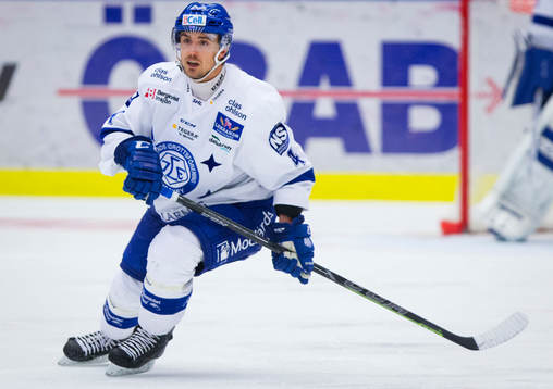 Leksands Robin Gartner