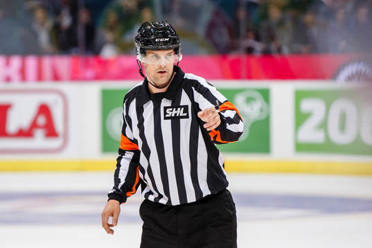 Domare Mikael Nord