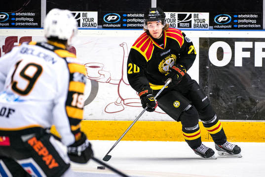 Brynäs Adam Brodecki