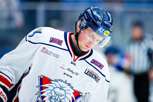 Linköpings Broc Little hänger med huvudet